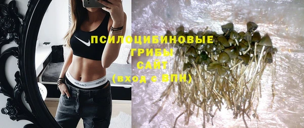 ешки Балахна