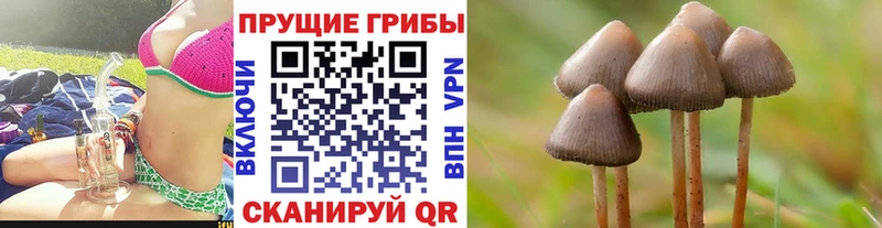 магазин продажи   Курильск  Псилоцибиновые грибы прущие грибы 